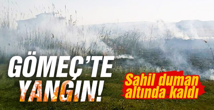 Yangın Gömeç sahilini duman altında bıraktı