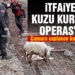 İtfaiyenin kuzu kurtarma operasyonu