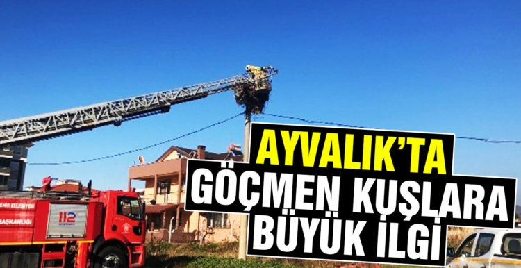 Ayvalık’ta göçmen kuşlara itfaiye ve Milli Parklar şefkati