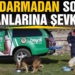 Jandarmadan sokak hayvanlarına şefkat eli