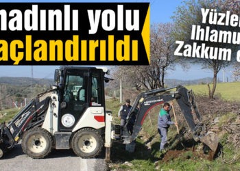 Burhaniye’de Bahadınlı yolu ağaçlandırıldı