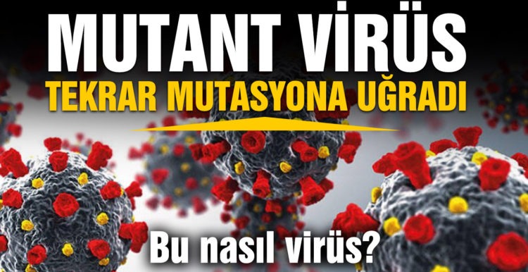 Mutant virüs tekrar mutasyona uğradı
