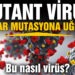 Mutant virüs tekrar mutasyona uğradı