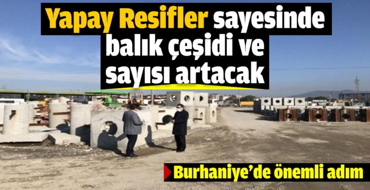 Burhaniye’de Yapay Resifler sayesinde balık çeşidi ve sayısı artacak