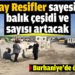 Burhaniye’de Yapay Resifler sayesinde balık çeşidi ve sayısı artacak