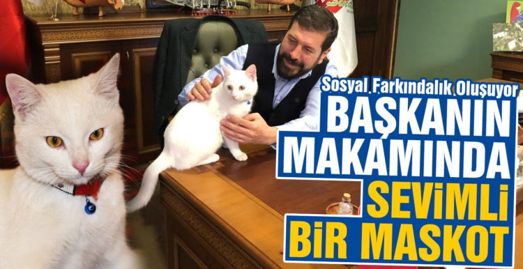 Başkanın makamında sevimli bir maskot