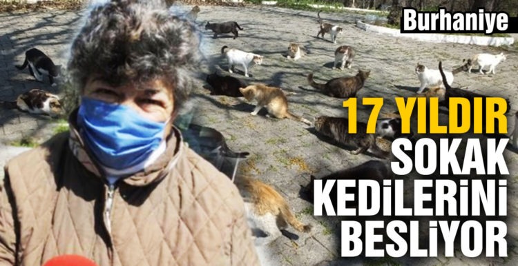 Balıkesir’de emekli hemşire 17 yıldır sokak kedilerini besliyor