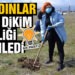 AK Kadınlar fidan dikim etkinliği düzenledi
