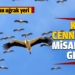 Manyas Kuş Cenneti misafirlerini ağırlamaya başladı
