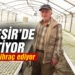 Balıkesir’de üretilen şeker otu Amerika’ya ihraç ediliyor