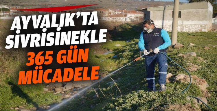 Ayvalık’ta sivrisinekle 365 gün mücadele