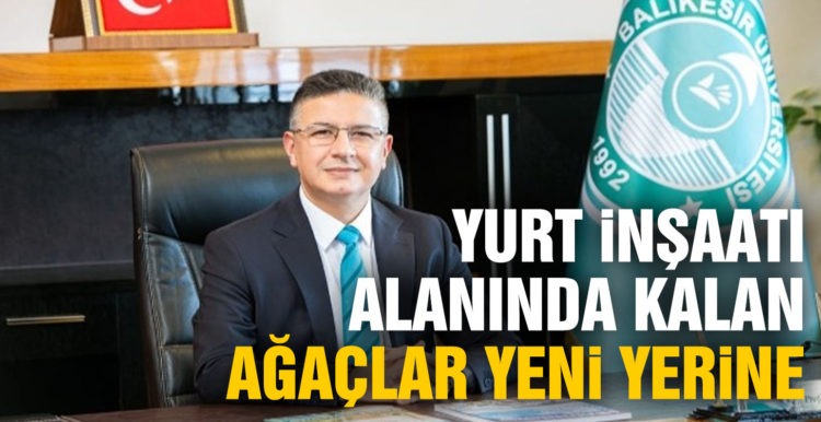Yurt inşaatı alanında kalan ağaçlar yeni yerine dikiliyor
