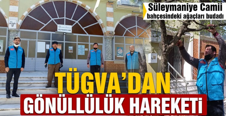 “VEFALI ELLER”, CAMİİ AĞAÇLARINI BUDADI..