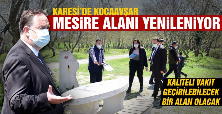 KOCAAVŞAR MESİRE ALANI YENİLENİYOR