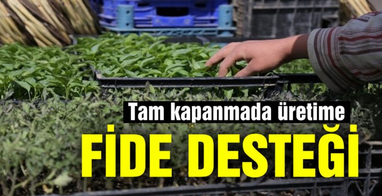 Tam kapanmada üretime devam eden çiftçilere fide desteği