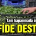 Tam kapanmada üretime devam eden çiftçilere fide desteği