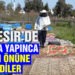 Balıkesir’de bal para yapınca arıların önüne halı serdiler