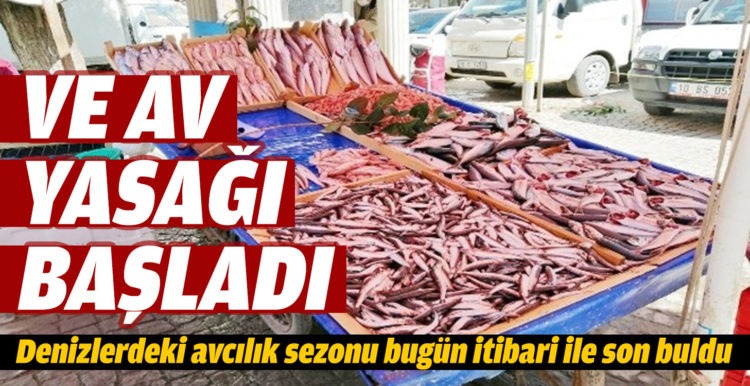 Av yasağı başladı