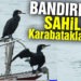 Bandırma’da sahiller onlara kaldı