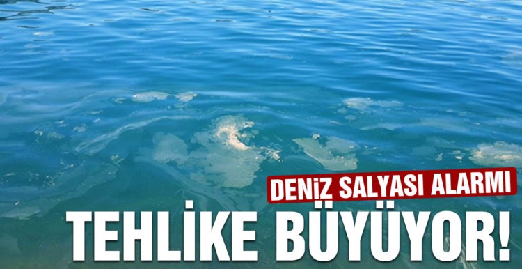 Ayvalık’ta deniz salyası alarmı