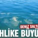 Ayvalık’ta deniz salyası alarmı