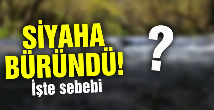 Manyas Ketenlik deresi siyaha büründü