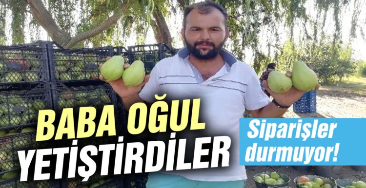 Baba ve oğlunun yetiştirdiği meyvelere yoğun talep