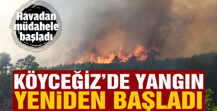 Köyceğiz’deki yangın yeniden başladı