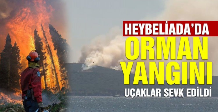 Son Dakika: Heybeliada’da orman yangını