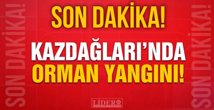 Kazdağları’nda orman yangını