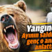 Yangında ayının saldırdığı genç o anları anlattı