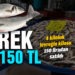 4 kiloluk levreğin kilosu 150 liradan satıldı