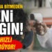 Koronavirüs bitmeden yeni salgın!