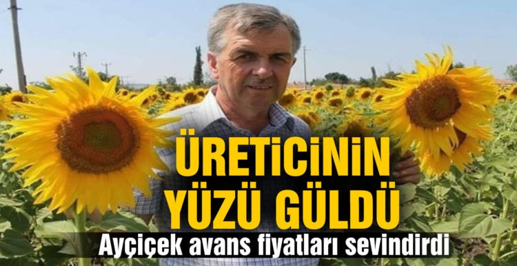 Ayçiçek avans fiyatları üreticinin yüzünü güldürdü