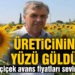 Ayçiçek avans fiyatları üreticinin yüzünü güldürdü