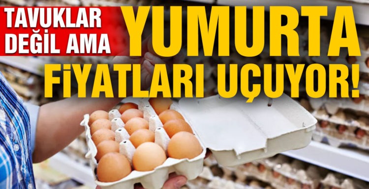 Tavuklar değil, yumurta fiyatları uçuyor!