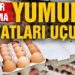Tavuklar değil, yumurta fiyatları uçuyor!