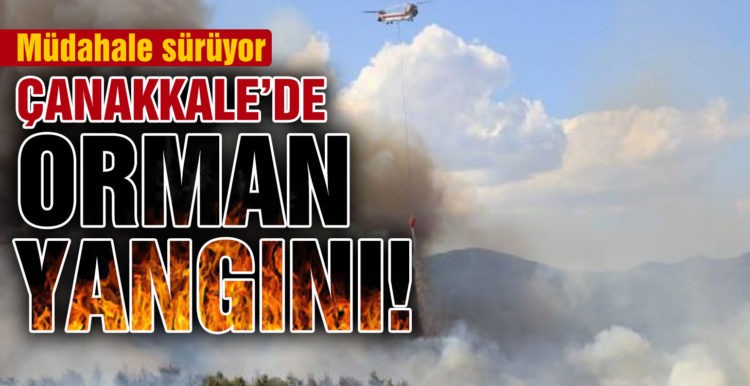 Çanakkale’de orman yangını! Müdahale sürüyor
