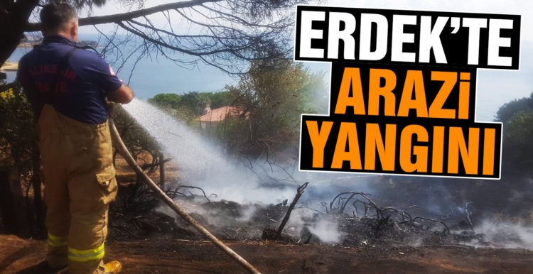 Erdek’te arazi yangını