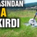 Tarlasından soda fışkırdı