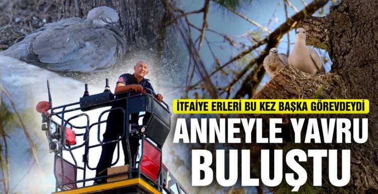 ANNEYLE YAVRU BULUŞTU