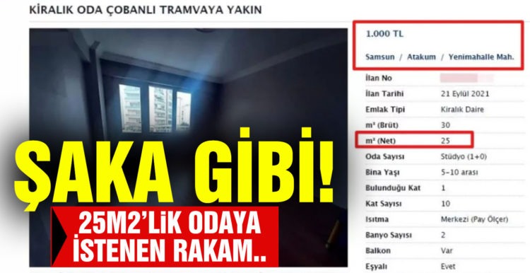 Ev sahiplerinden pes dedirten fırsatçılık