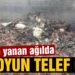 Erdek’te yanan ağılda 14 koyun telef oldu
