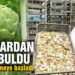 Enginardan şifa bulan kadın girişimci enginar çayı üretimine başladı