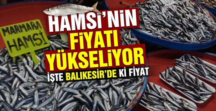 Hamsinin fiyatı 40 liraya dayandı