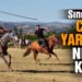 Sındırgı’da cirit yarışları nefes kesti