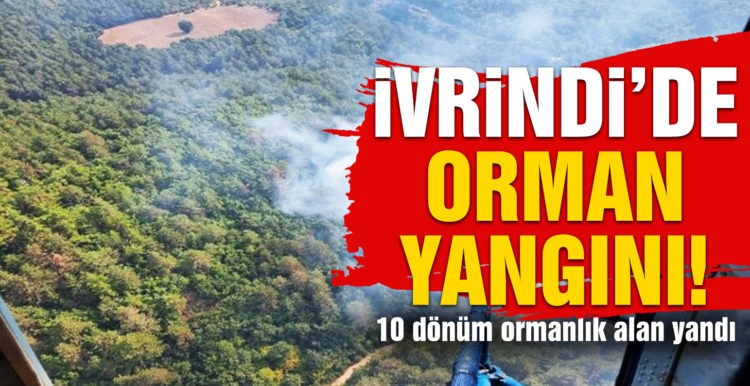 İvrindi’de 10 dönüm ormanlık alan yandı