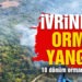 İvrindi’de 10 dönüm ormanlık alan yandı