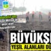 Büyükşehir yeşil alanları düzenliyor