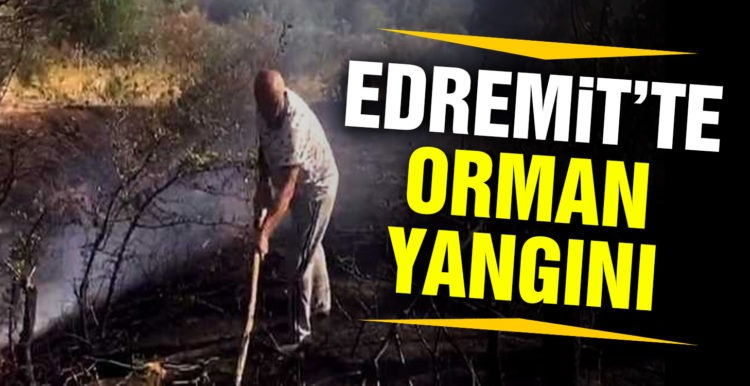Edremit’te orman yangını